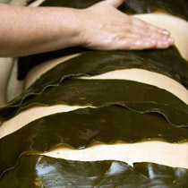 saeweed body wrap
